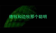 德牧和边牧那个聪明
