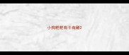 小狗粑粑有干有稀