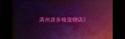 滨州派多格宠物店