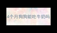 4个月狗狗能吃牛奶吗