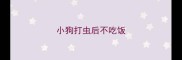 小狗打虫后不吃饭