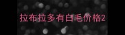 拉布拉多有白毛价格