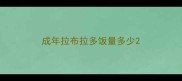 成年拉布拉多饭量多少