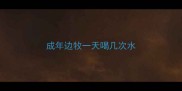 成年边牧一天喝几次水