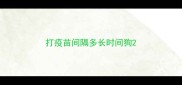打疫苗间隔多长时间狗