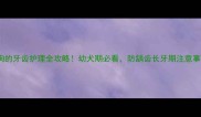 5个月大狗狗的牙齿护理全攻略幼犬期必看防龋齿长牙期注意事项合集