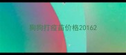 狗狗打疫苗价格2016
