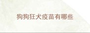 狗狗狂犬疫苗有哪些