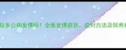 拉布拉多公狗发情吗全面发情症状应对方法及饲养指南
