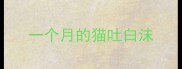 一个月的猫吐白沫