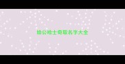 给公哈士奇取名字大全