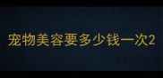 宠物美容要多少钱一次