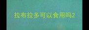 拉布拉多可以食用吗