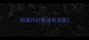 刚满月的泰迪有泪痕