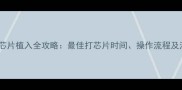 卡斯罗犬芯片植入全攻略最佳打芯片时间操作流程及注意事项