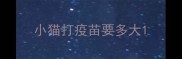 小猫打疫苗要多大