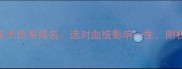 中国边境牧羊犬血系排名选对血统影响一生附权威选购指南