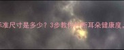 金毛犬耳朵标准尺寸是多少3步教你判断耳朵健康度附养护指南
