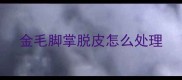 金毛脚掌脱皮怎么处理