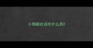 小狗呕吐该吃什么药