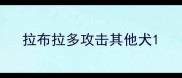 拉布拉多攻击其他犬