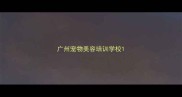 广州宠物美容培训学校