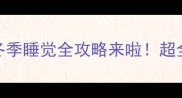 拉布拉多怕冷吗冬季睡觉全攻略来啦超全指南附保暖神器推荐