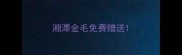 湘潭金毛免费赠送