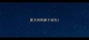 夏天狗狗鼻子褪色