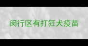 闵行区有打狂犬疫苗