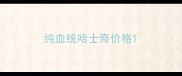 纯血统哈士奇价格