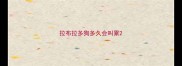 拉布拉多狗多久会叫累