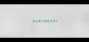 怎么看小狗是性别