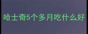 哈士奇5个多月吃什么好