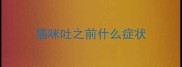 猫咪吐之前什么症状