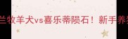 保姆级对比边牧vs苏格兰牧羊犬vs喜乐蒂陨石新手养狗必看三大牧羊犬区别