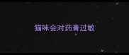猫咪会对药膏过敏