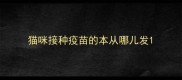 猫咪接种疫苗的本从哪儿发