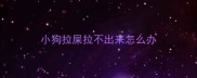 小狗拉屎拉不出来怎么办