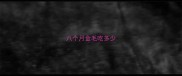 八个月金毛吃多少