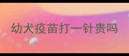 幼犬疫苗打一针贵吗