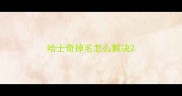 哈士奇掉毛怎么解决