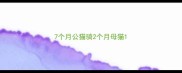 7个月公猫骑2个月母猫