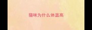 猫咪为什么体温高