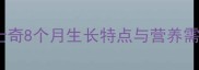 哈士奇8个月生长特点与营养需求