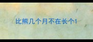 比熊几个月不在长个