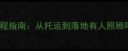 空运宠物全流程指南从托运到落地有人照顾吗新手必看