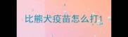 比熊犬疫苗怎么打