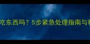 狗狗呕吐后能吃东西吗5步紧急处理指南与科学喂养建议