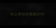 哈士奇棕色眼睛好吗